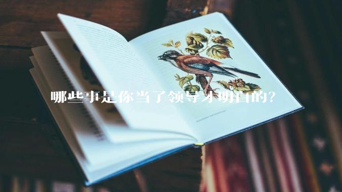 哪些事是你当了领导才明白的？